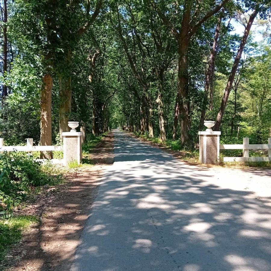Chalet De Bult White 2 Persons Zewnętrze zdjęcie